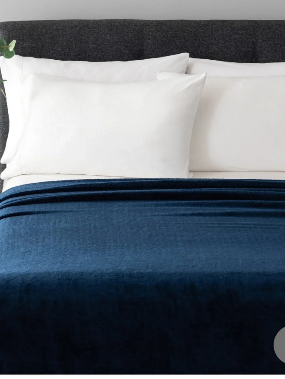 (6,)Berkshire Herringbone Plush Velvet  Blanket